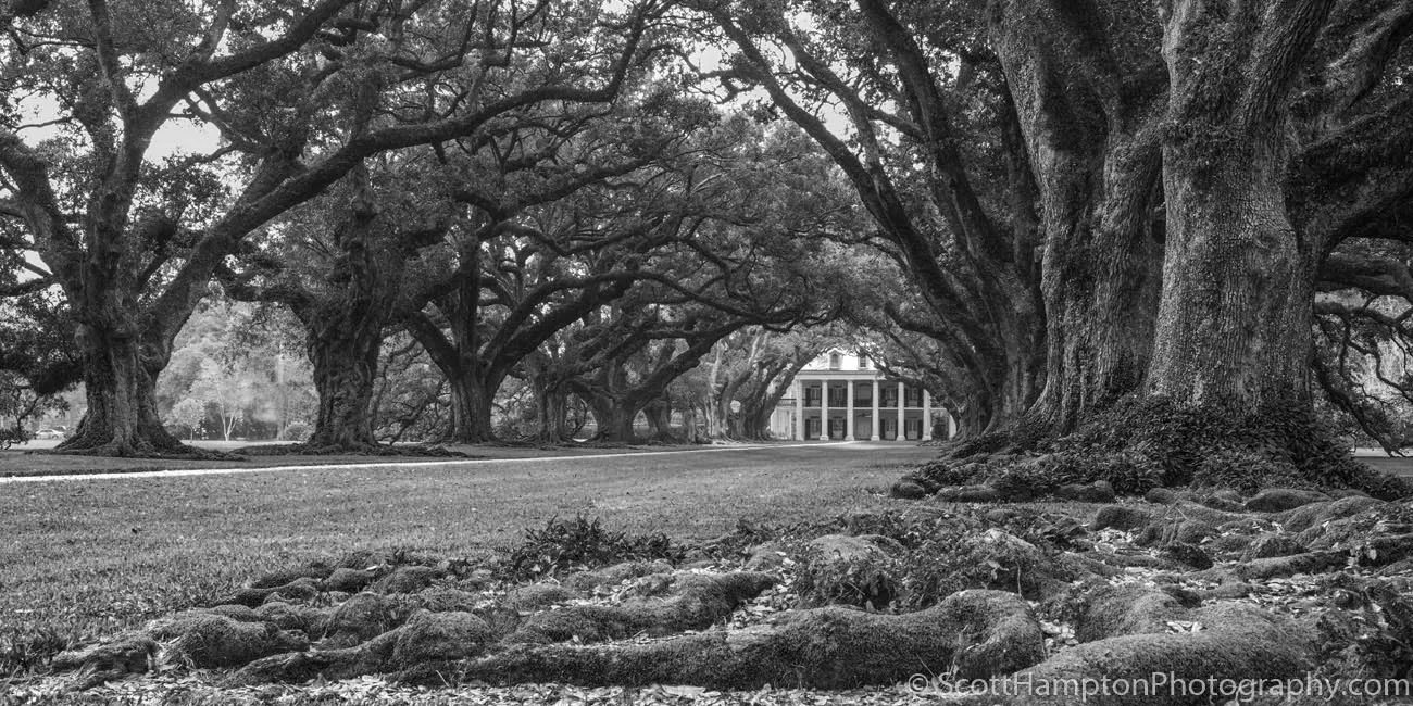 Oak Alley Plantation II