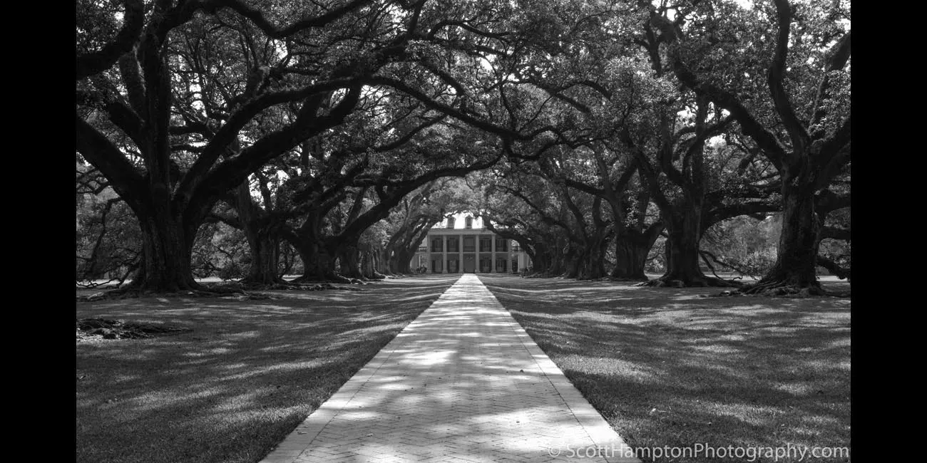 Oak Alley Plantation I