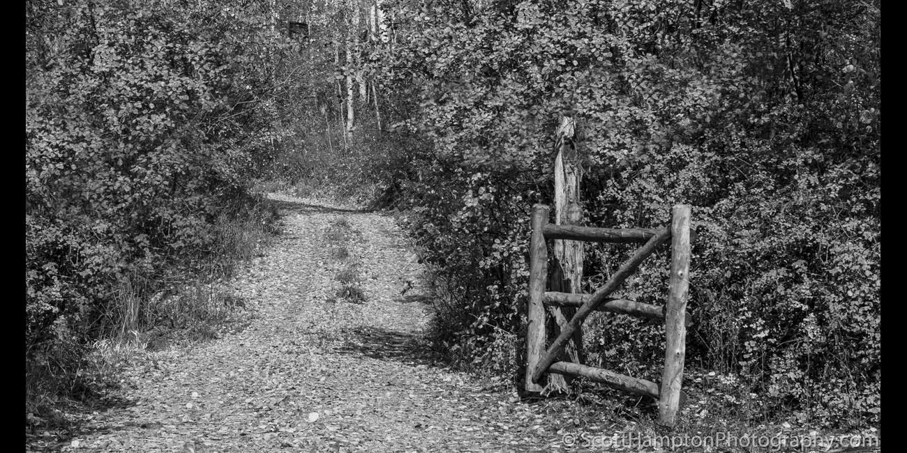 Fall n’ Gate