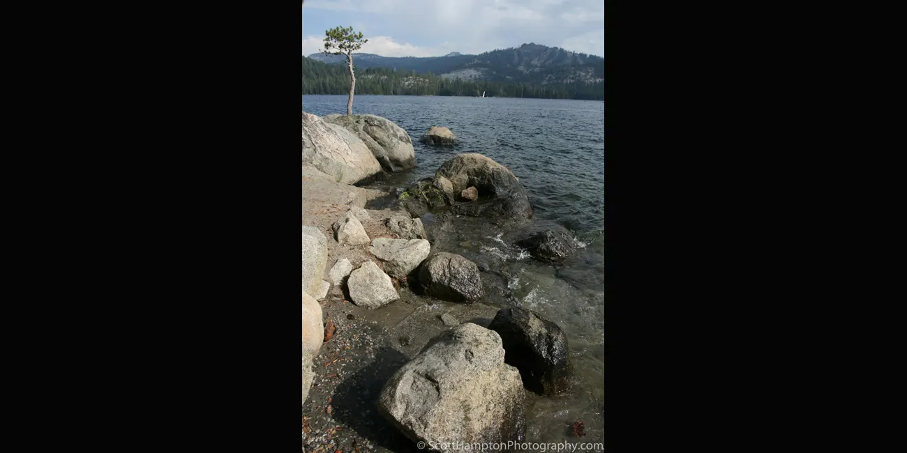 Lone Pine, Hunnington Lake