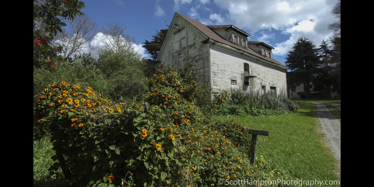 Sundance on a Green Field