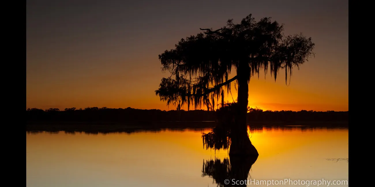 St. Martin Lake, Atchafalaya Basin, Louisiana