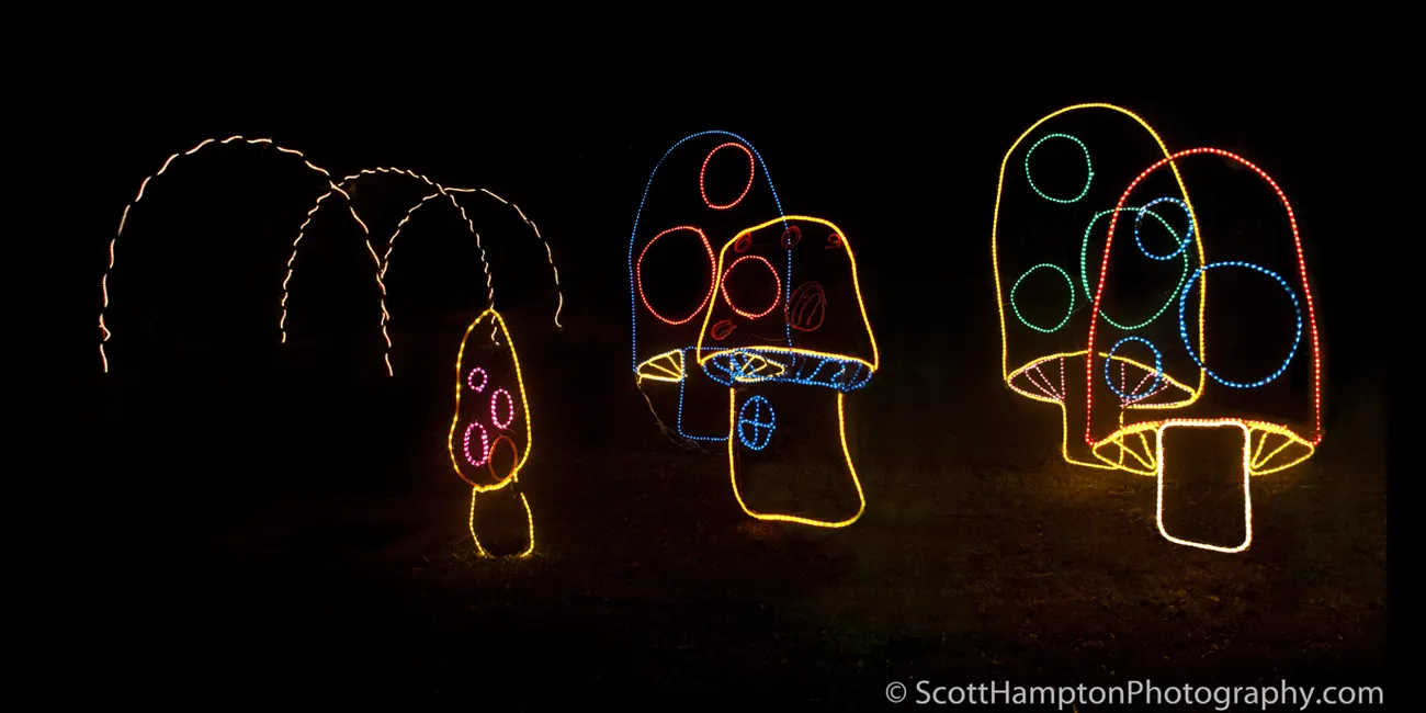 Christmas at the Roosevelt, New Orleans