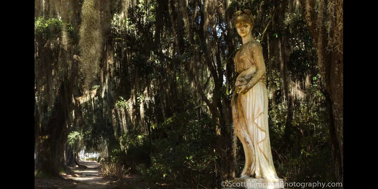 The Lady of Rosedown